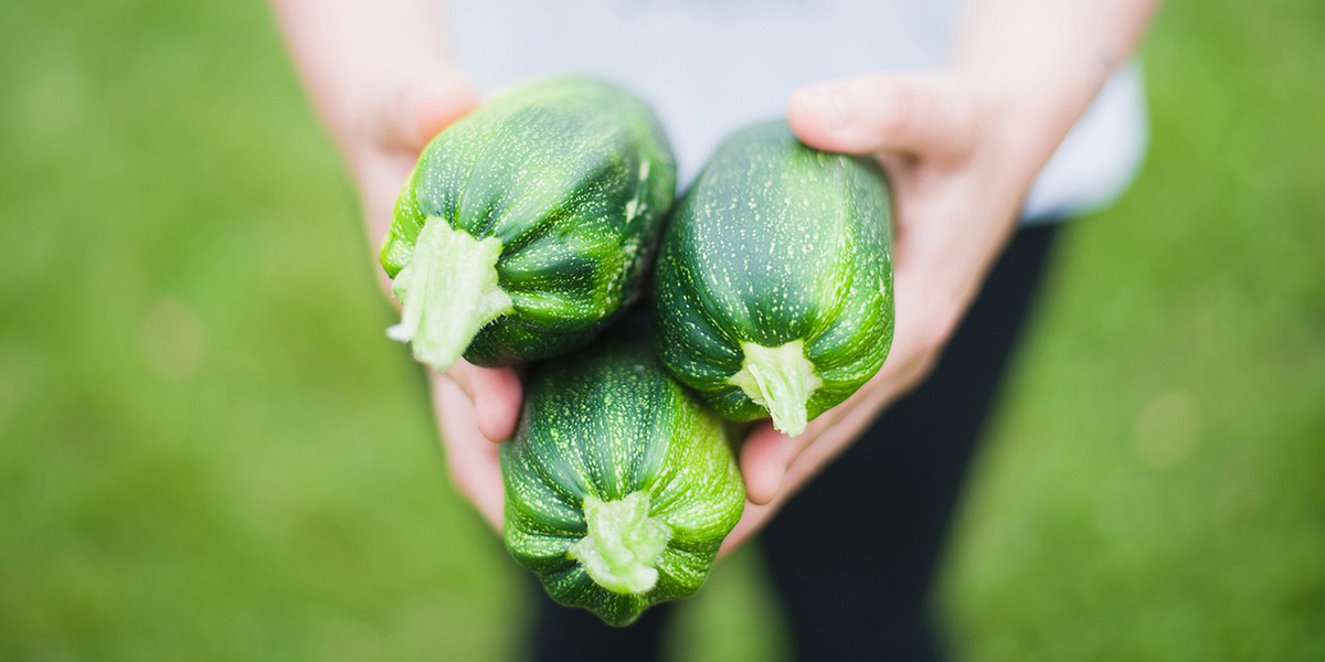 Arriva la primavera con boom di primizie, da zucchine a fave